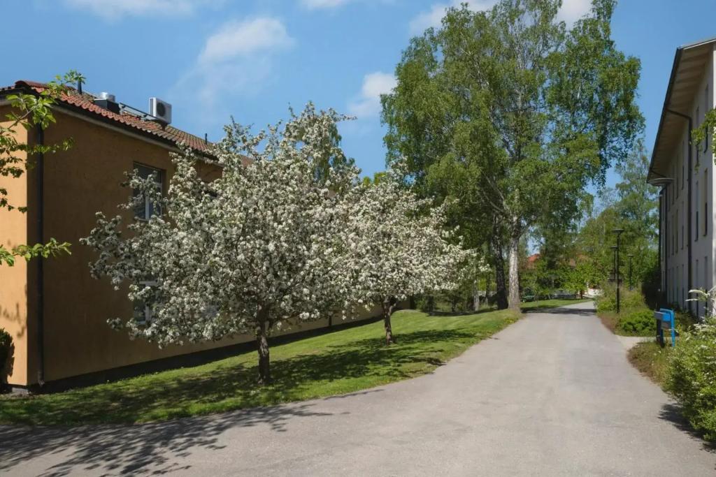 Bosön Hotell & Konferens - главное фото