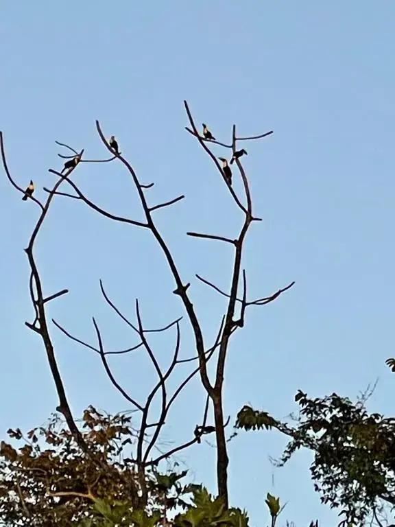 Finca Isla Wellness Retreat - главное фото