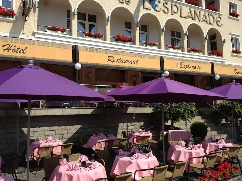 Hotel de l' Esplanade - главное фото