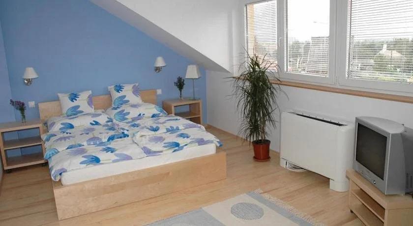 Sporthaz - главное фото