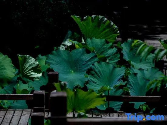 Huiman  Hostel Hotel - главное фото