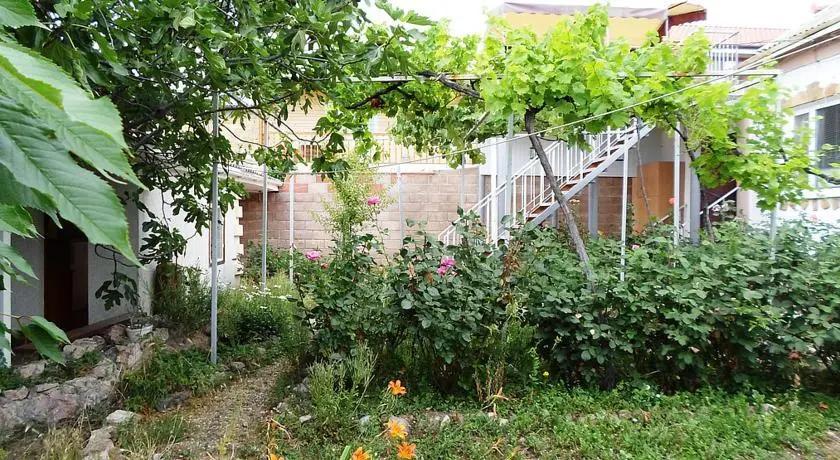 Аист - главное фото