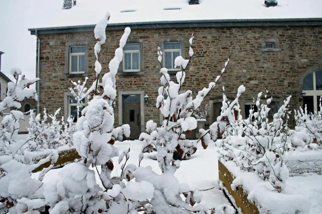 Le Tapis Rouge - главное фото