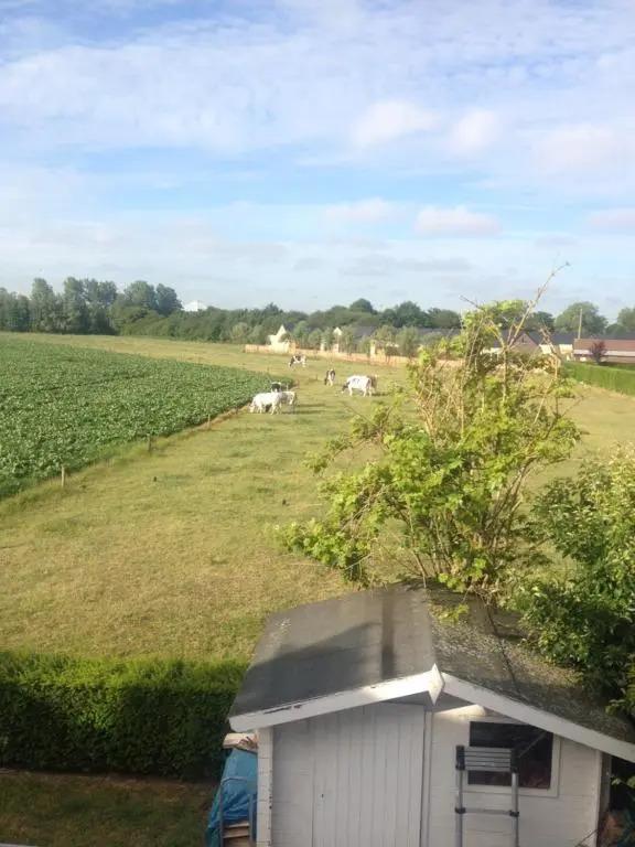 Begijnhof 13 Holiday Home - главное фото