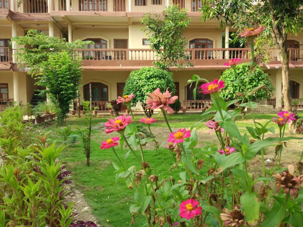 Jungle Wildlife Camp - главное фото