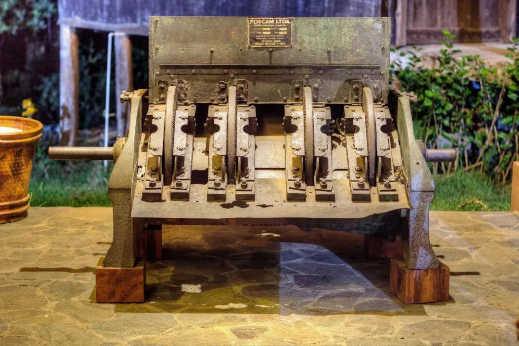 Chayote Lodge - главное фото