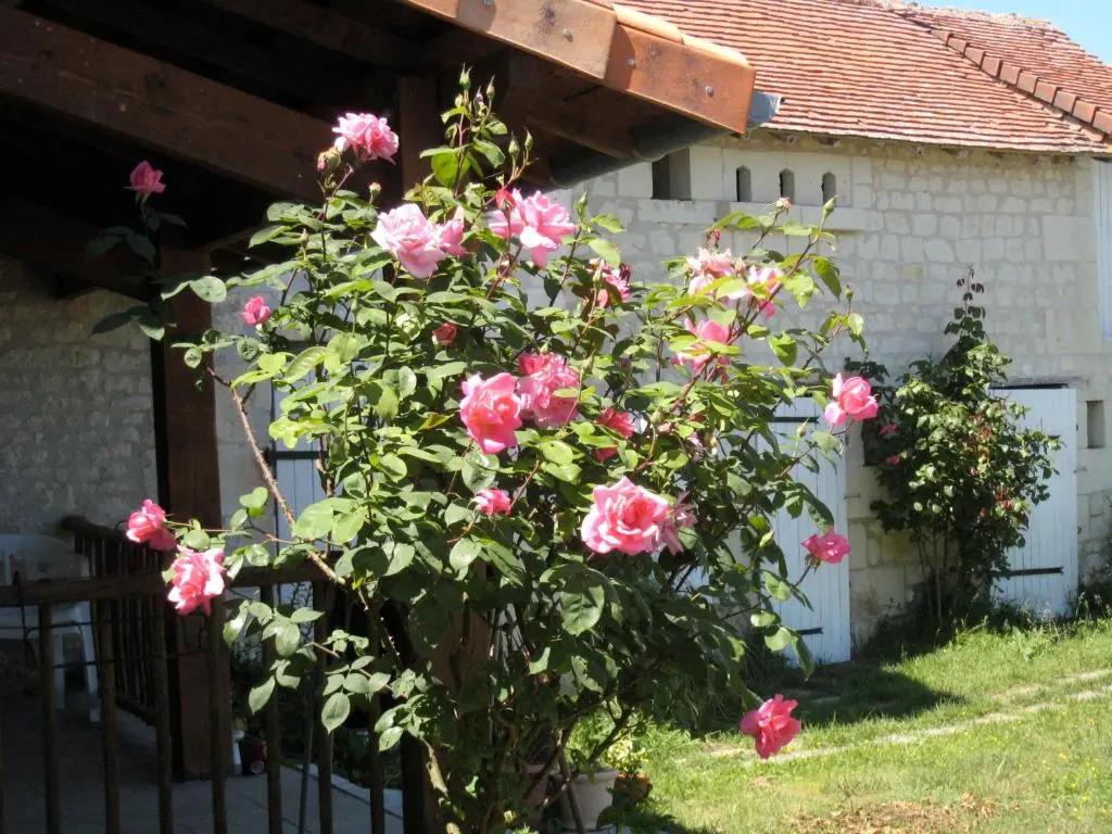 gite en touraine climatise - главное фото