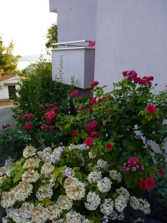 Apartmani Ferdi - главное фото