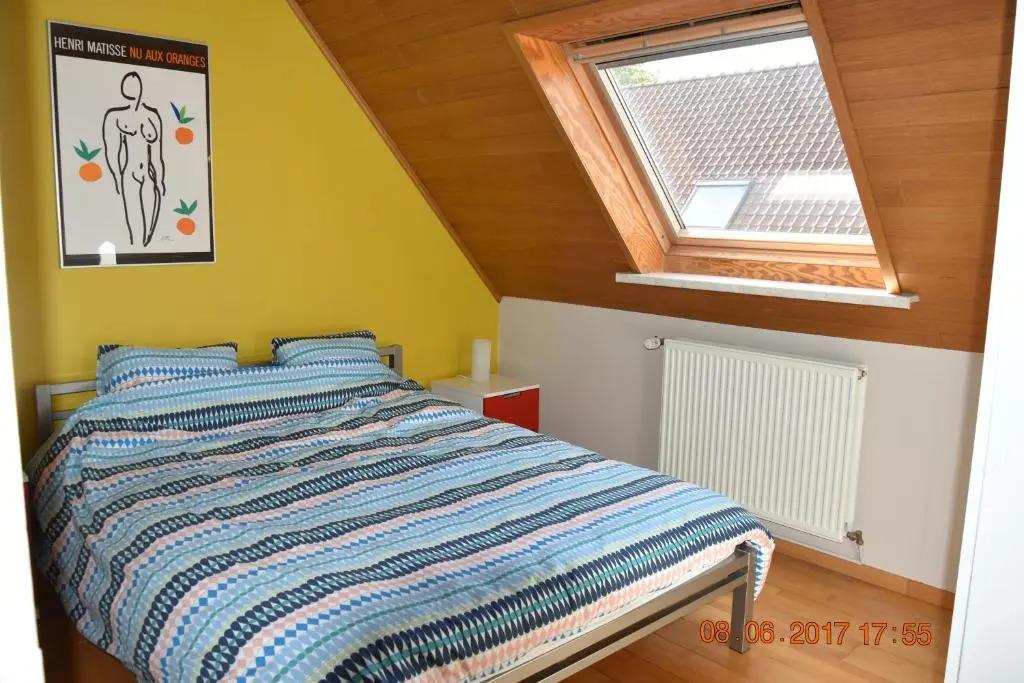 Damon II - главное фото