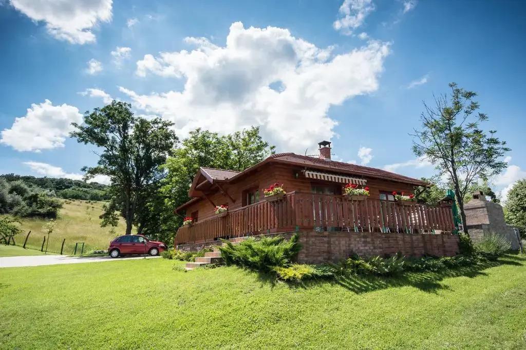 Vadmacska Vadász és Vendégház - главное фото