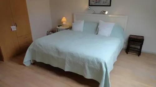 Andaluc - главное фото