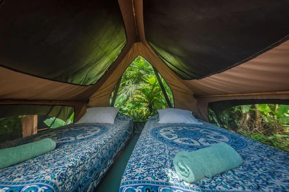 Finca Exotica ecolodge - главное фото