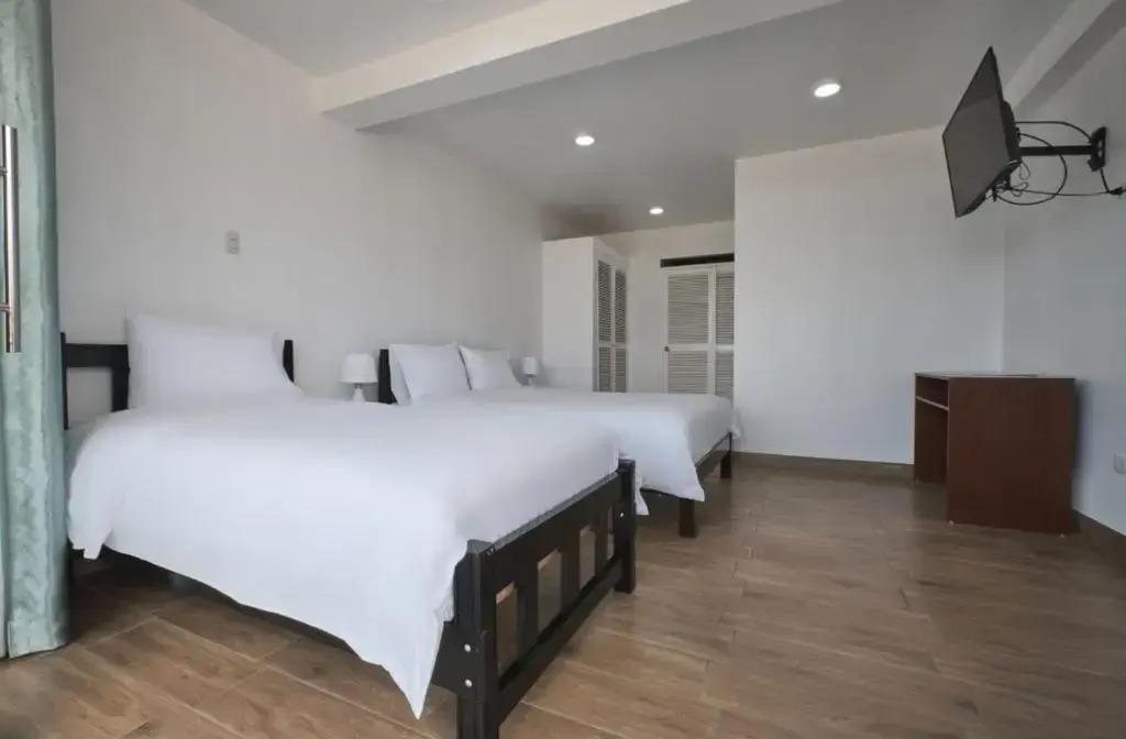 La Casa de Algodon - главное фото