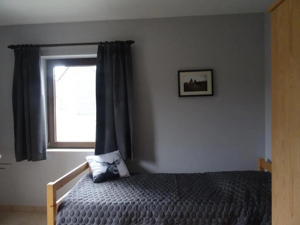 Les Terriers Saint-Hubert - главное фото