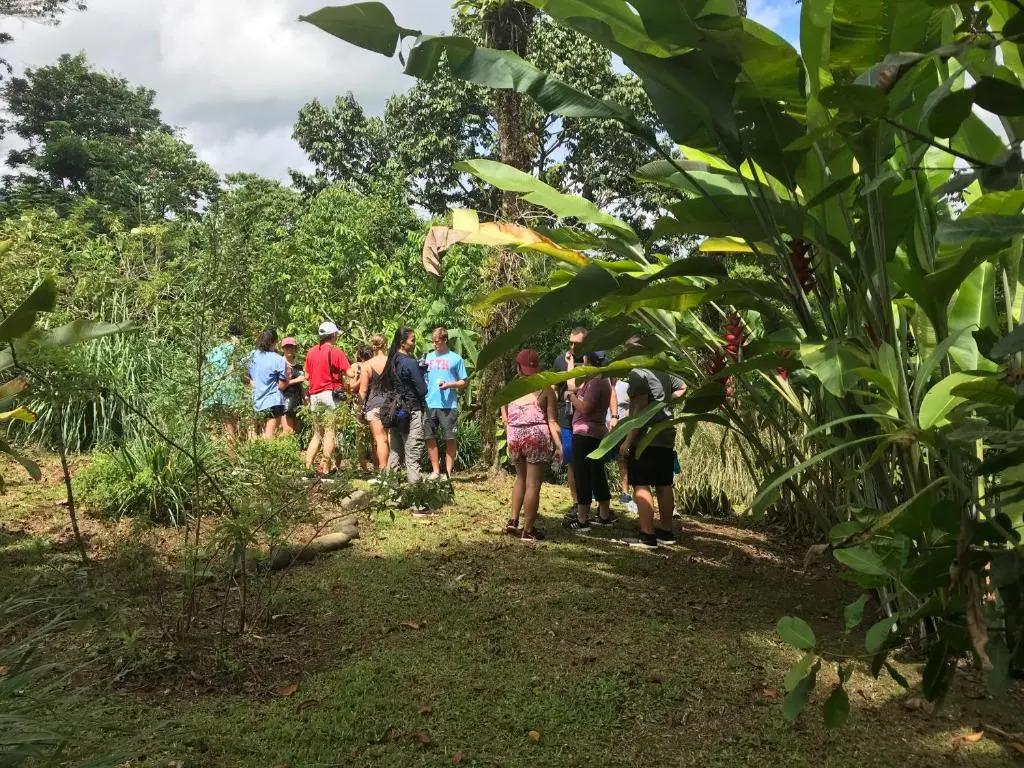 Villas Josipek - главное фото