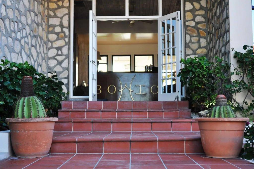 Bohio Dive Resort - главное фото