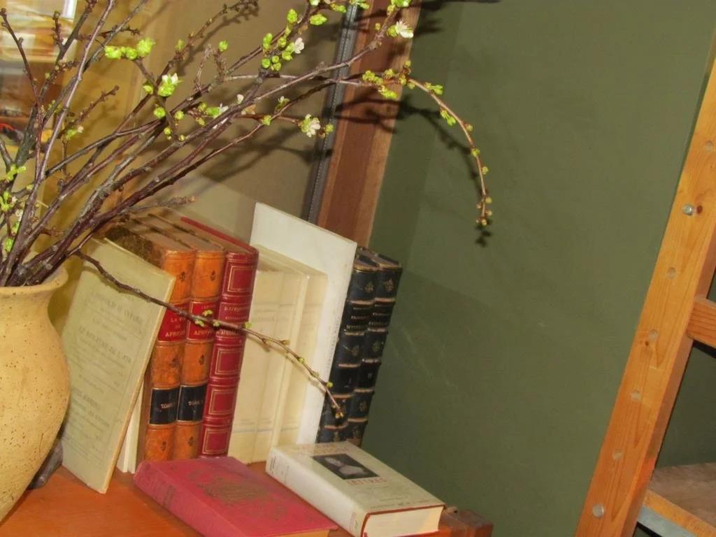 La Reduiste - главное фото