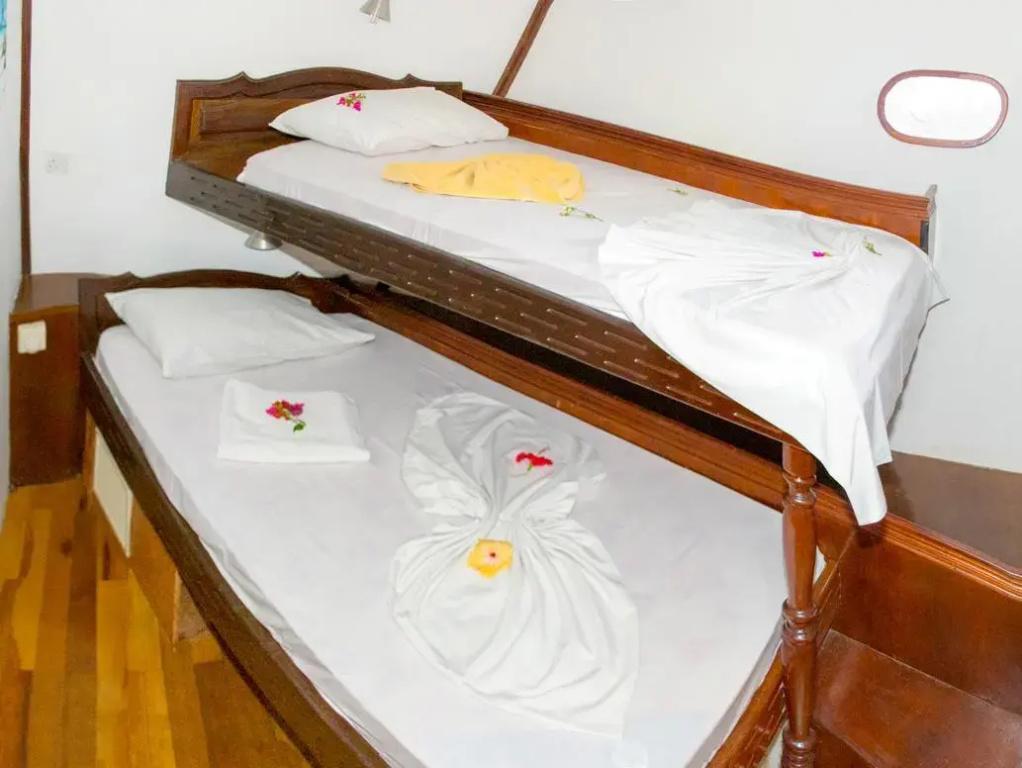 Maldivica Cruise ( Maldivian Dream) - главное фото