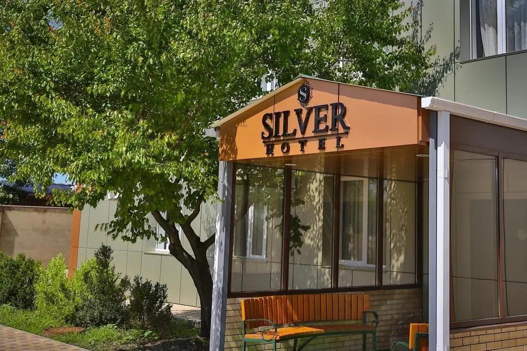 Отель Сильвер - главное фото