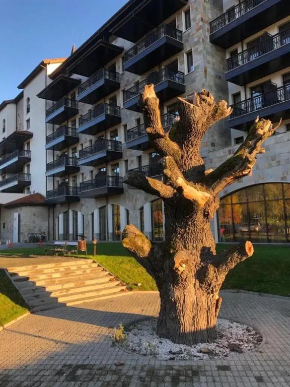K's Place Apartment Pravets Golf Resort - главное фото