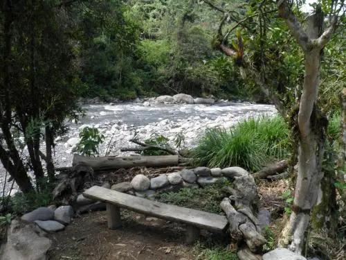 Reserva Ecológica Chontachaka - главное фото
