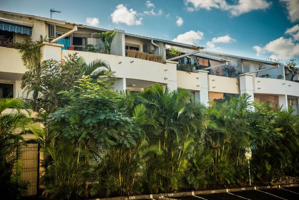 Appartement T1 Comptoir 31 - главное фото