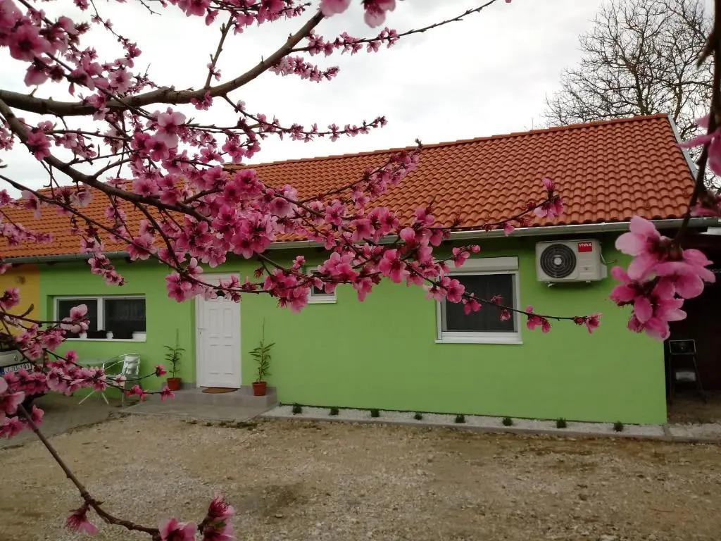 Napsugár Vendégház - главное фото