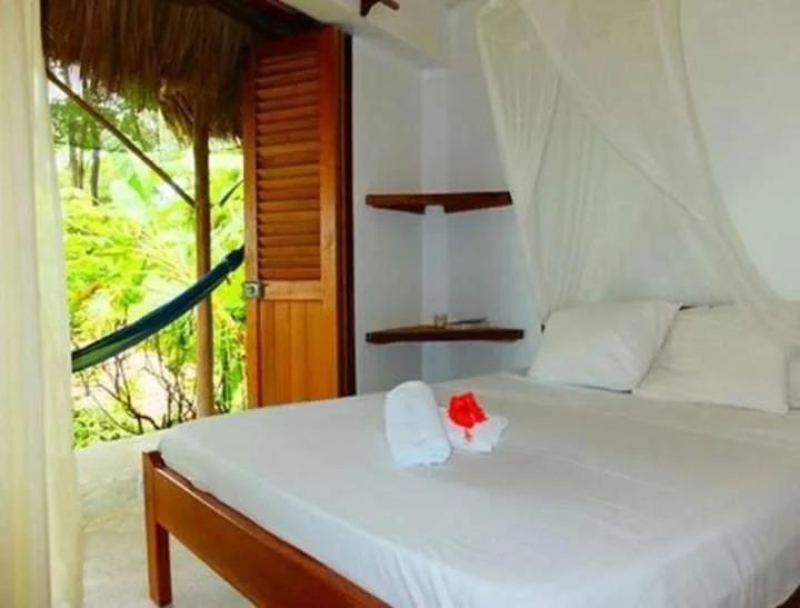 El Rey Patricio - главное фото