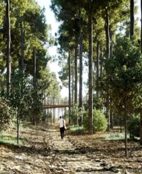 villa 2be - главное фото