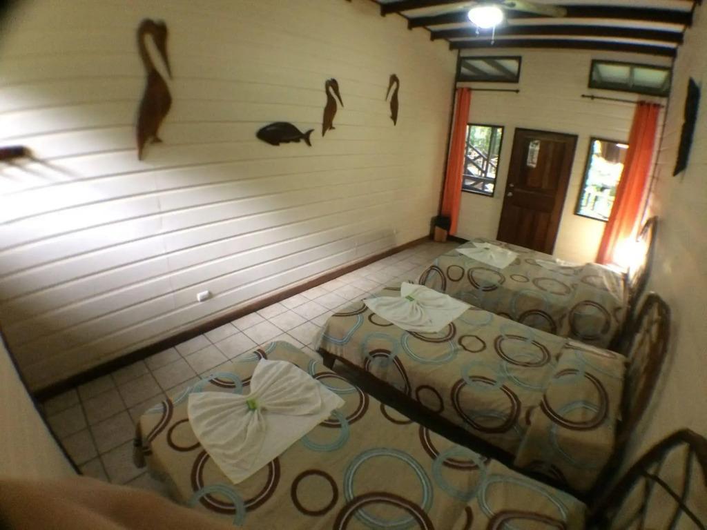 Hotel Rana Roja - главное фото