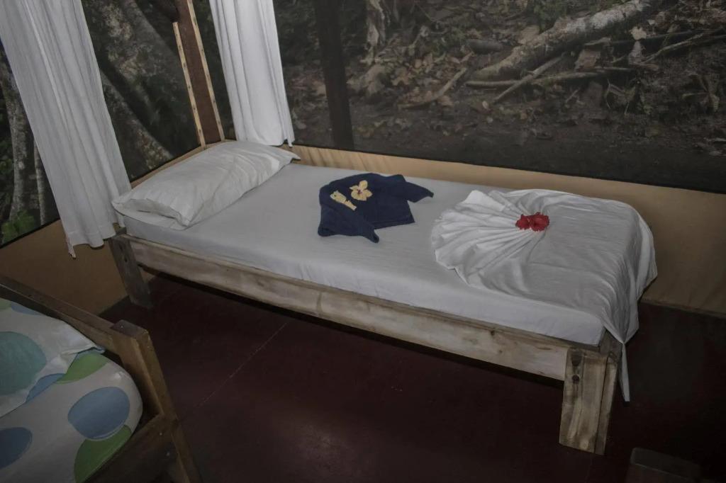 La Leona Eco Lodge - главное фото