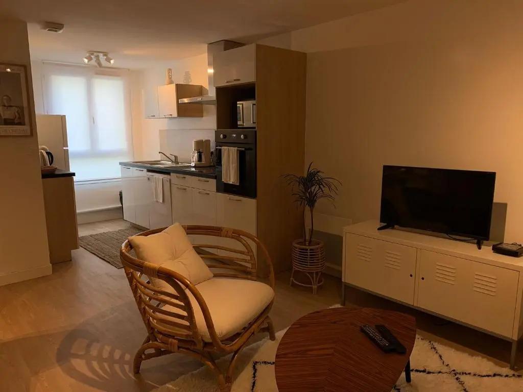 KISTIN T1 bis hypercentre rénové et chaleureux - главное фото