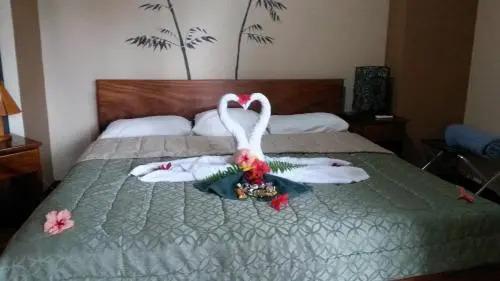 Mar y Selva Ecolodge - главное фото