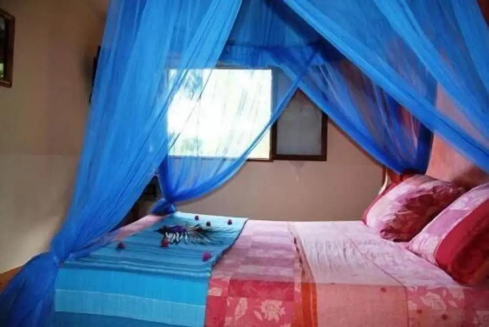 Villa Maora - главное фото