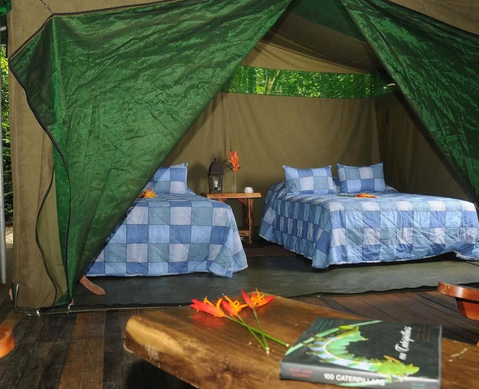 Hacienda Pozo Azul - главное фото