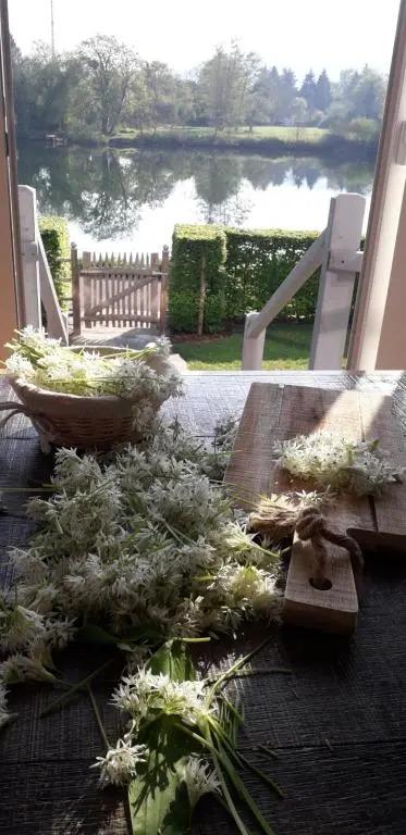 Orivage - главное фото