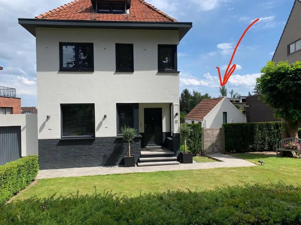 Belle Chique - Maastricht - главное фото