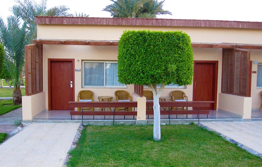 Nuweiba Club Resort - главное фото