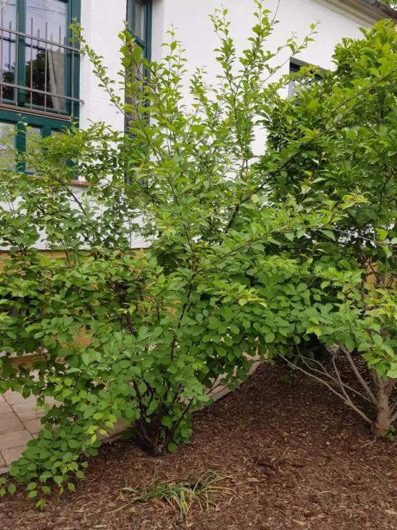 Borostyánkő Vendégház - главное фото