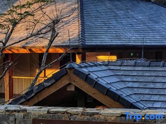 VipaXana·Abaila - главное фото