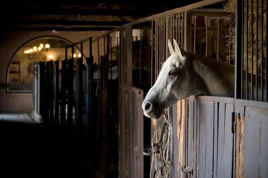 Geréby Kúria Hotel és Lovasudvar - главное фото
