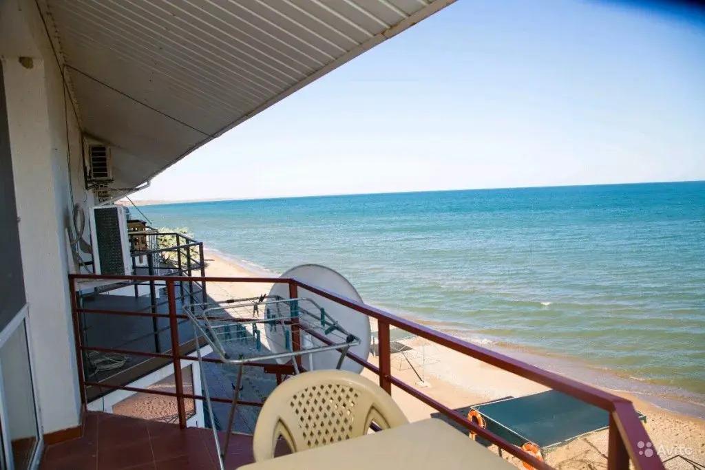 Primorets - главное фото