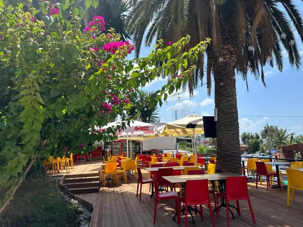 Vila Duraku - главное фото