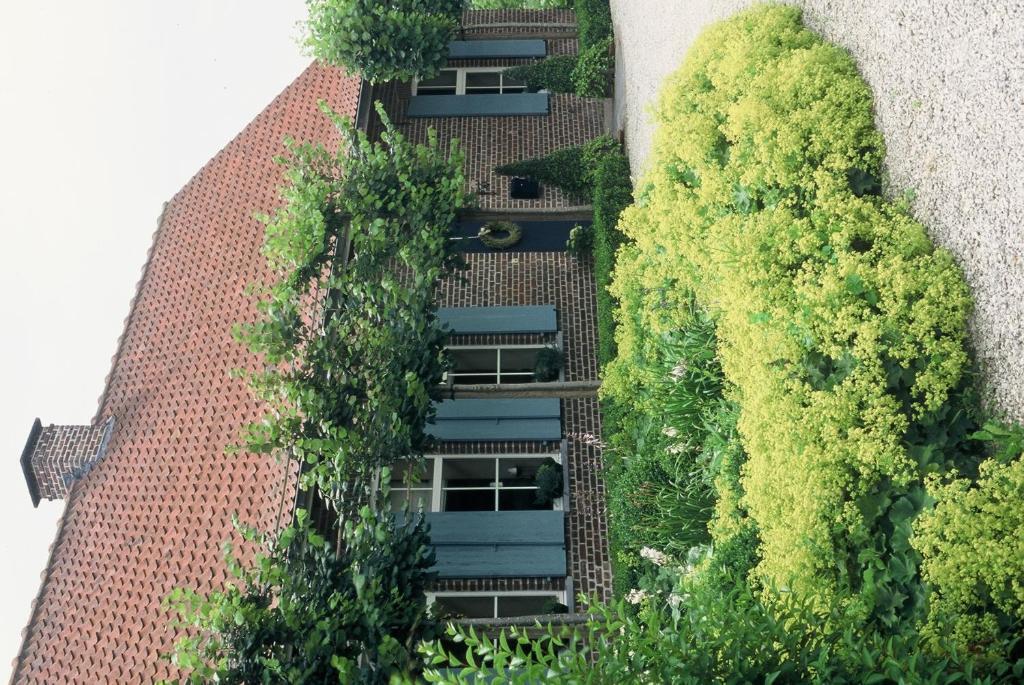 Pahilleke - главное фото