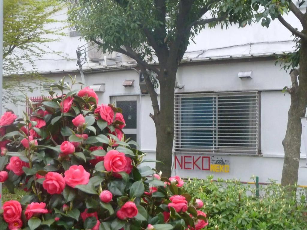 Guesthouse Neko Neko – Hostel - главное фото