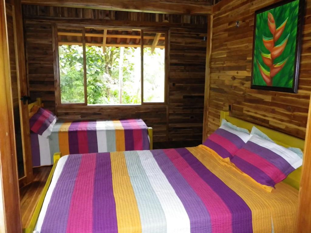 Macaw Lodge - главное фото