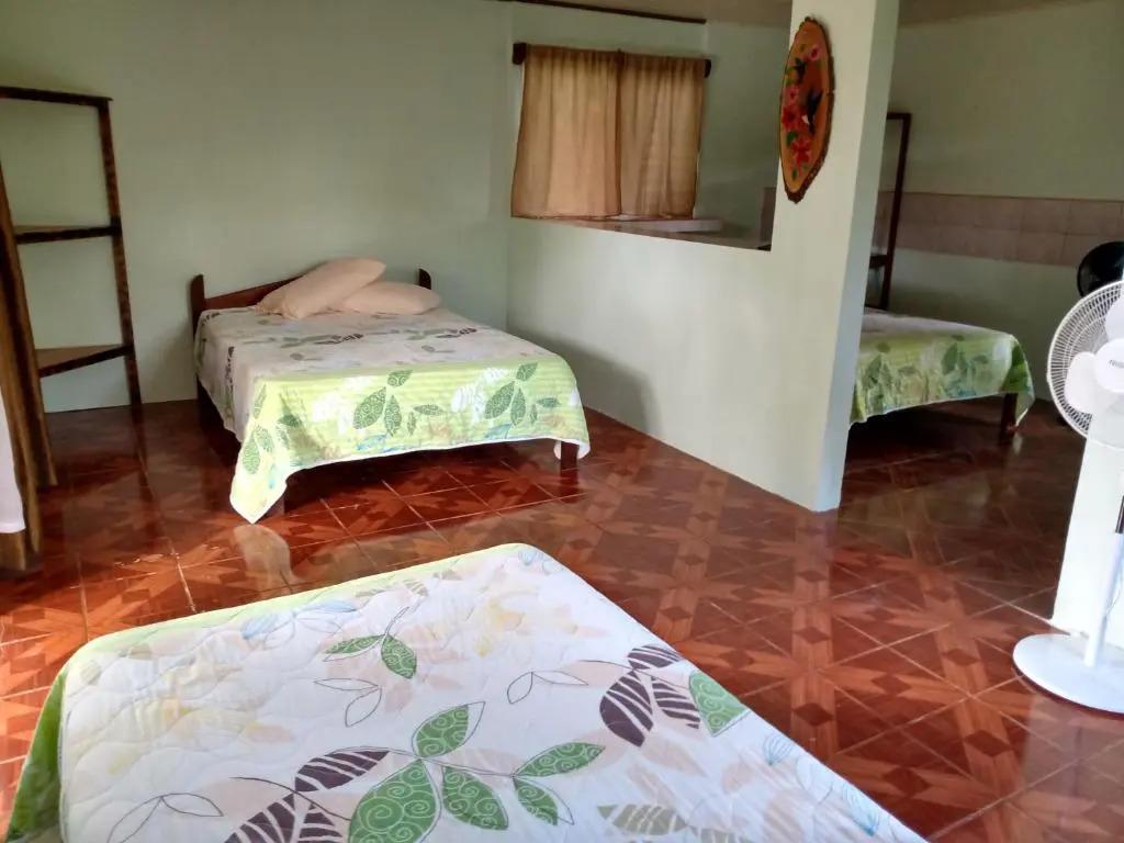 Posada Rural Río Celeste - главное фото