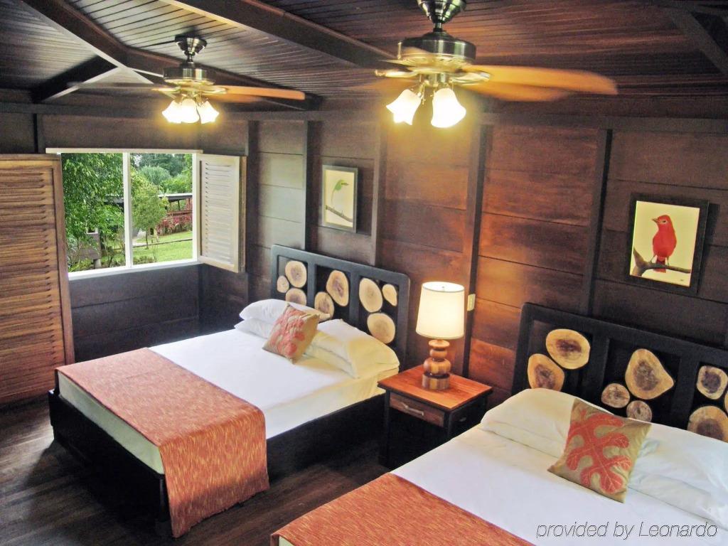 Chachagua Rainforest Hotel & Hot Springs - главное фото