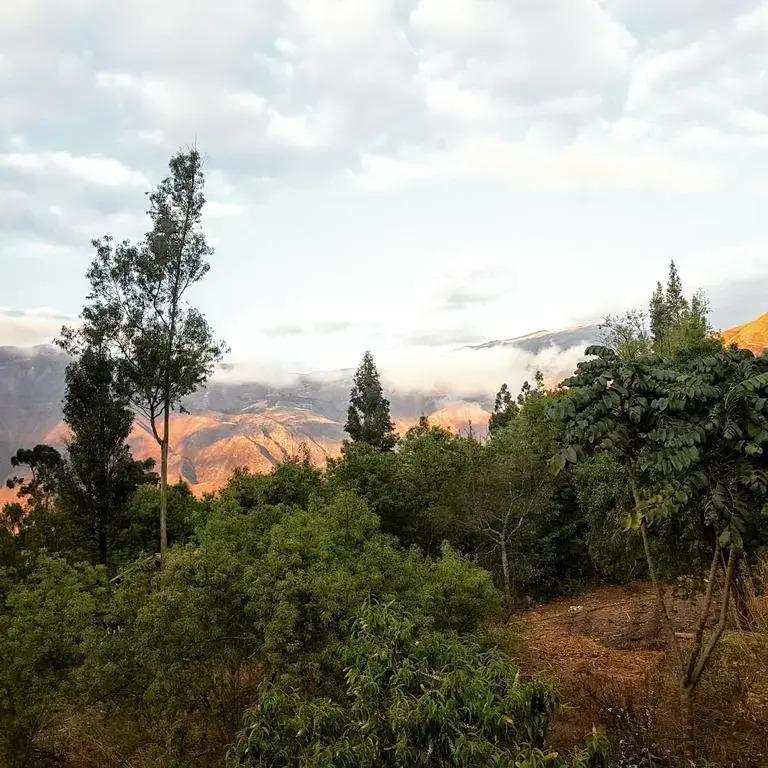 VALLE DEL INKA - Hotel - главное фото