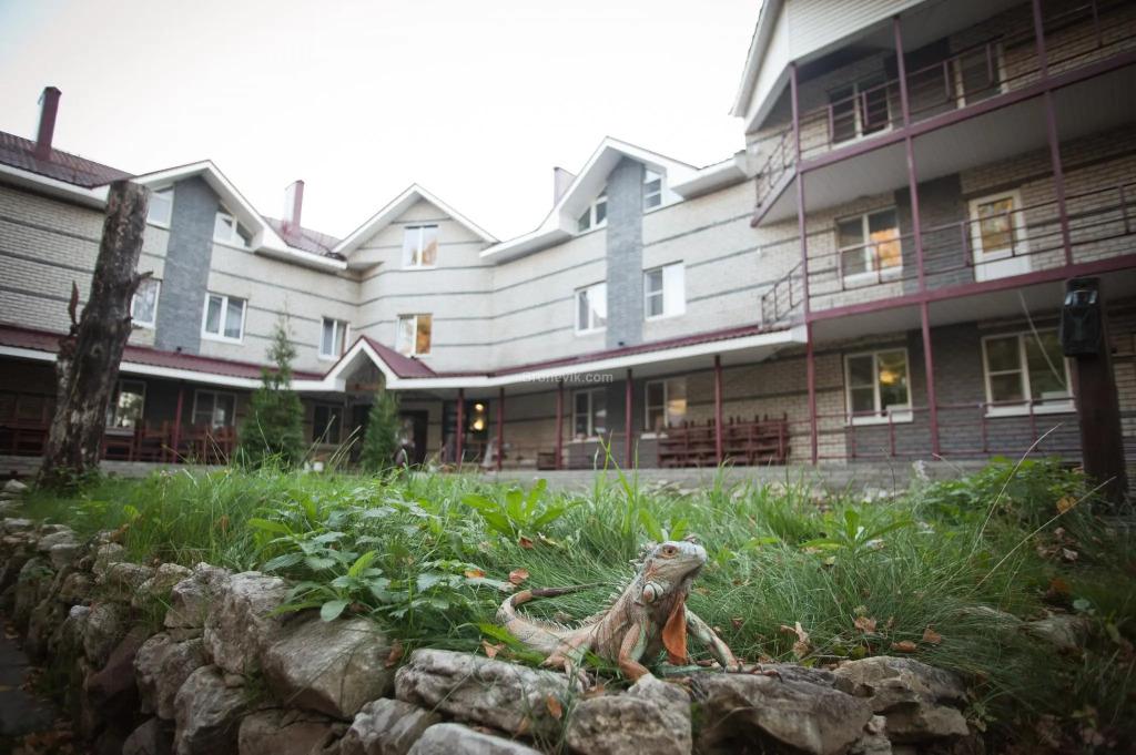 Деловой Клуб - главное фото